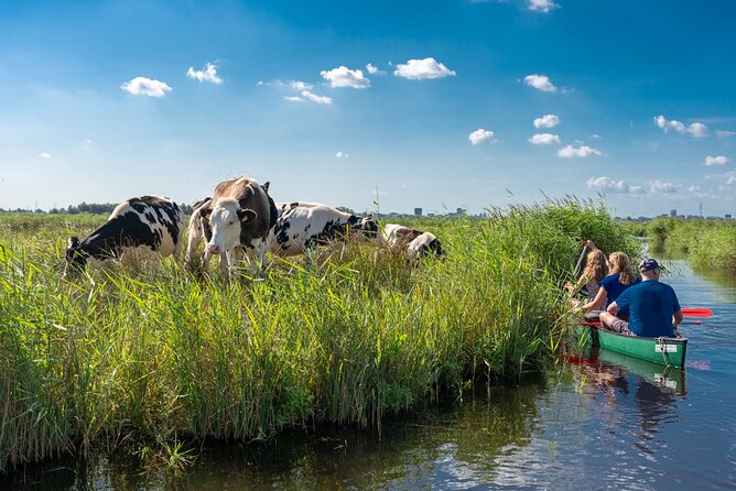 Guided Canoe Adventure with Picnic Lunch in Waterland from Amsterdam - Key Things That Make This Canoe Picnic Day Worth It
