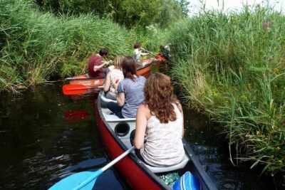 Guided Canoe Adventure with Picnic Lunch in Waterland from Amsterdam - Getting There From Amsterdam Noord Without Making It Complicated