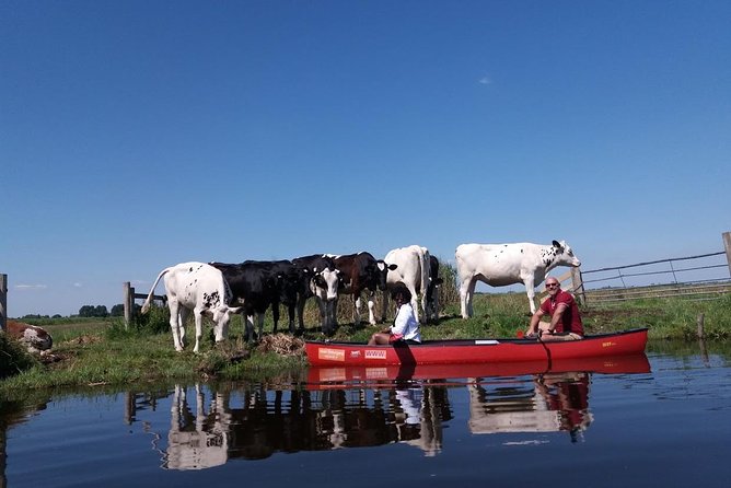 Guided Canoe Adventure with Picnic Lunch in Waterland from Amsterdam - Price and Value: Is $112.84 a Good Deal?