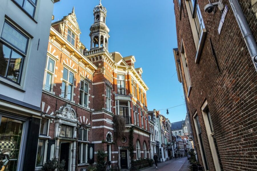 Haarlem: City Highlights Walking Tour - Amsterdamse Poort and de Koepel: City Access and Everyday Power