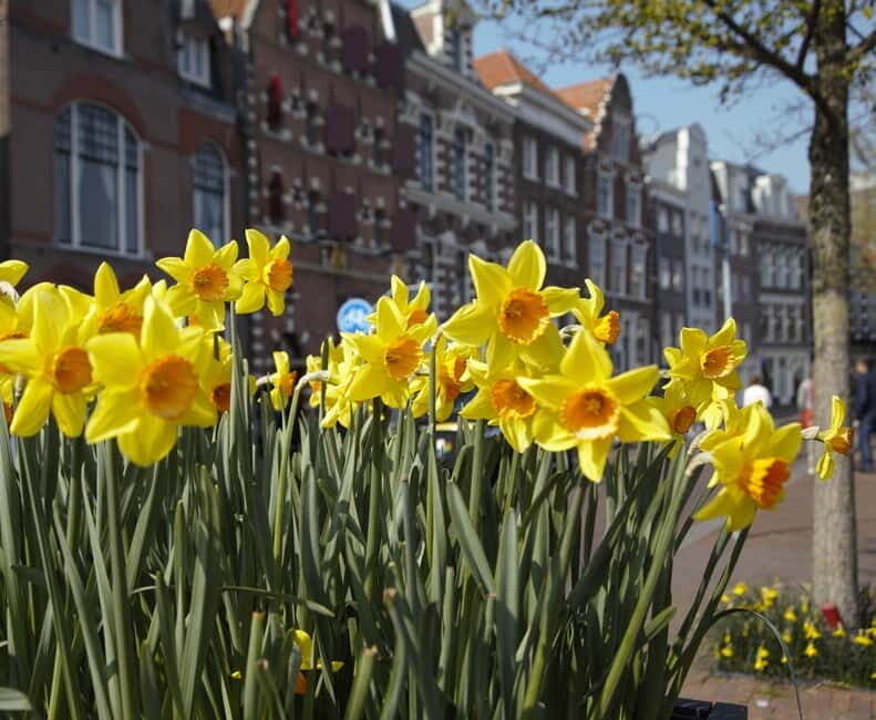 Haarlem: Food Tour - A beer recipe from 1407: brewery history you can sip