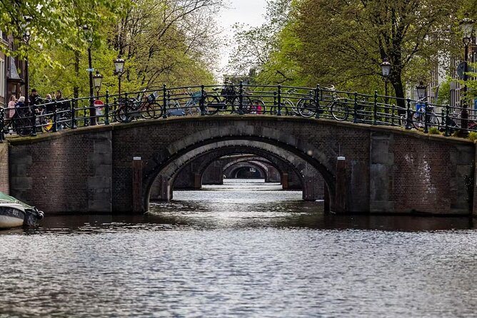 Highlights and Local Insights Canal Cruise Tour in Amsterdam - The Electric Boat Experience: Comfort, Quiet, and Photo Angles