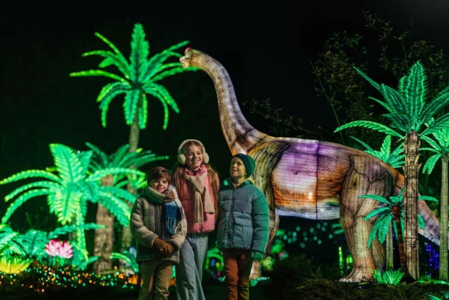 Hilvarenbeek: Light Safari at Beekse Bergen - Key things that make this Light Safari worth your time