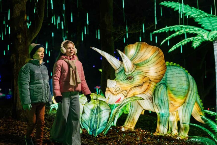 Hilvarenbeek: Light Safari at Beekse Bergen - Price and logistics: what $25 really buys you
