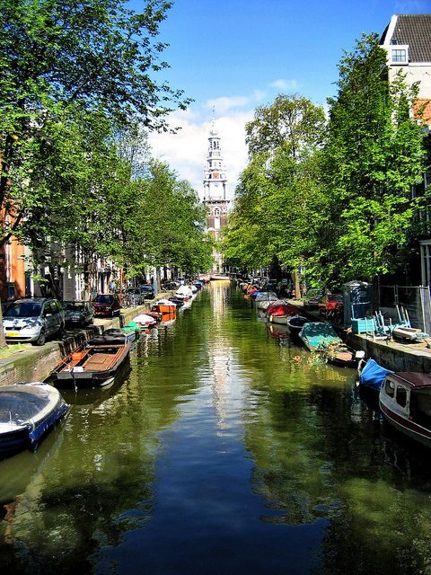 Historic Amsterdam 2-Hour Private Tour with Local Guide - Key highlights you’ll notice right away