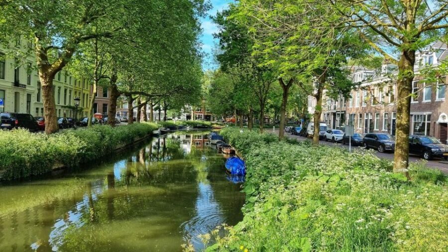 Historical Utrecht: Private Walking Tour with a Local Guide - Meeting at the Dom Tower: the orientation you need