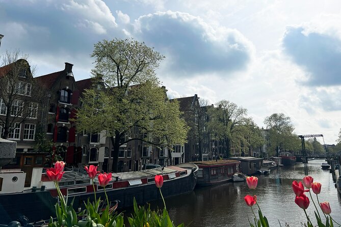 Historical Walking Tour, private with local Dutch guide - Price and value: is $96.02 worth it for two hours?