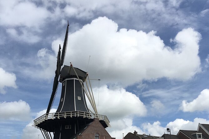 Holland Four City Charm Tour - Private Day Tour - The Hague: Houses of Parliament, the Binnenhof, and a Working Palace