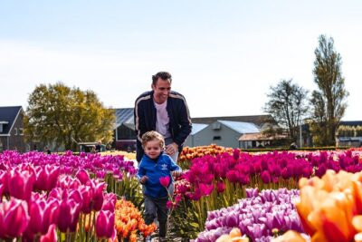 Keukenhof Gardens and Tulips Private Tour from Amsterdam - Tulip Experience Amsterdam: 90 Minutes With a Tulip-Story Map