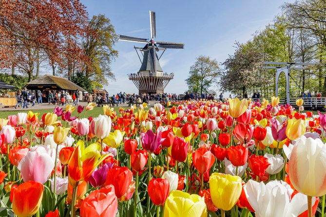 Keukenhof Gardens & Tulip Experience Tour from Amsterdam - Tulip Experience Amsterdam: indoor intro and a show garden you can wander