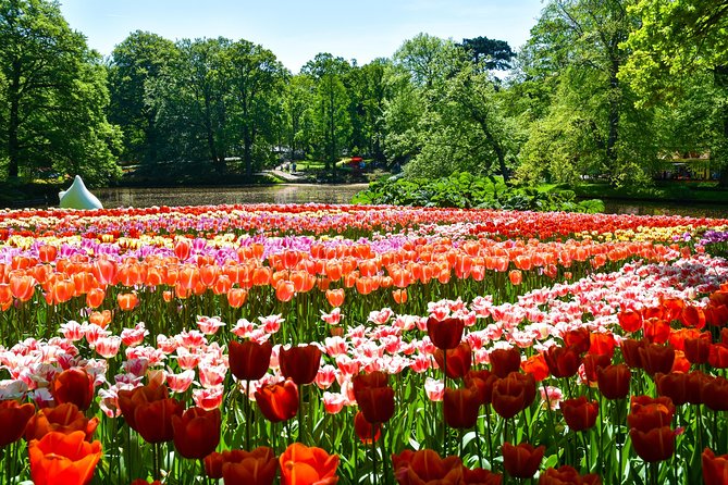 Keukenhof Gardens & Tulip Experience Tour from Amsterdam - The non-guided reality: how to make the self-explore time work