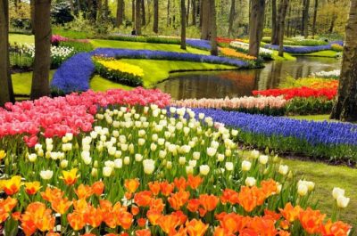 Keukenhof Gardens & Tulip Experience Tour from Amsterdam - Keukenhof Gardens: 15 kilometers of paths and the real photo moment