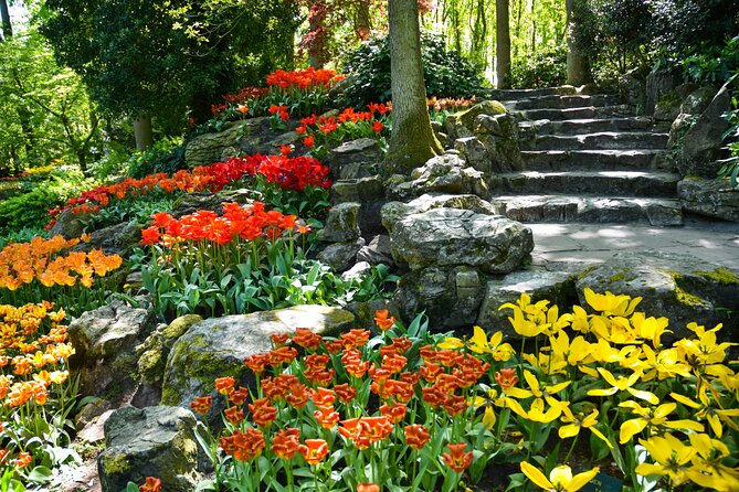 Keukenhof Gardens & Tulip Experience Tour from Amsterdam - What to bring for a smoother day at Keukenhof