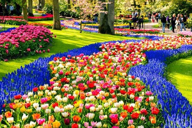 Keukenhof Skip-the-line Tickets: Countryside & Farm Private Tour - Key things I’d lock in before you go