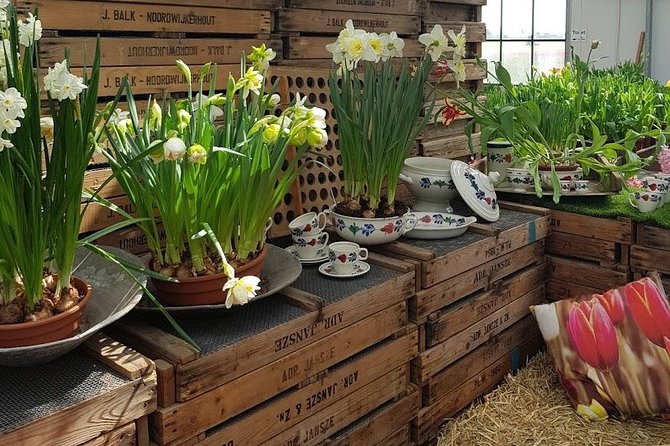 Keukenhof Skip-the-line Tickets: Countryside & Farm Private Tour - Private Mercedes pickup from Amsterdam: comfort and control