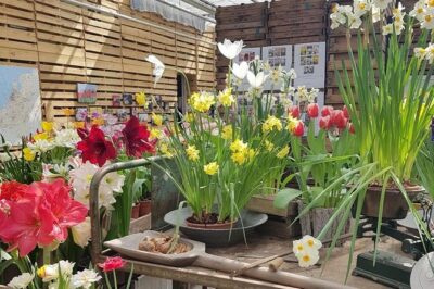 Keukenhof Skip-the-line Tickets: Countryside & Farm Private Tour - Keukenhof skip-the-line tickets: time is the real luxury