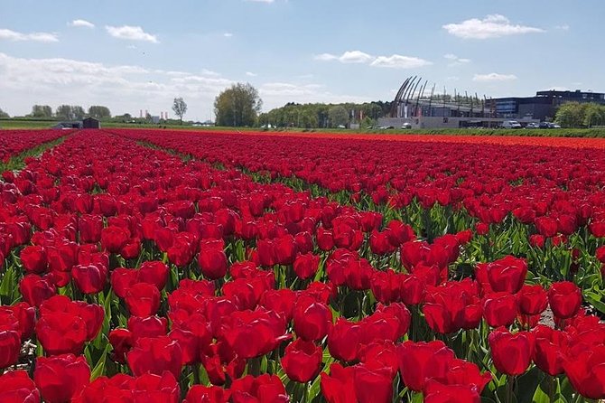 Keukenhof Skip-the-line Tickets: Countryside & Farm Private Tour - Guide quality matters more than you think