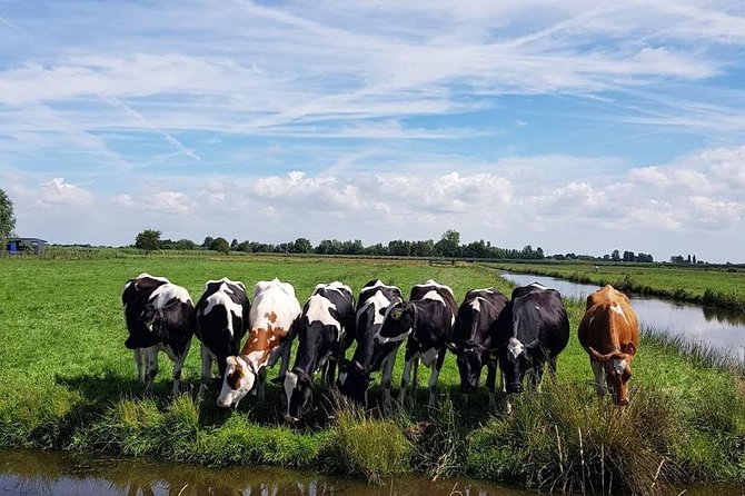 Keukenhof Skip-the-line Tickets: Countryside & Farm Private Tour - Managing an 8-hour circuit: how to stay fresh