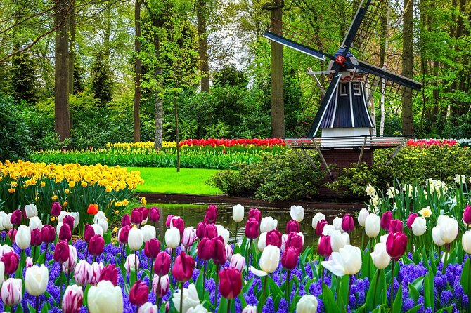 Keukenhof - spring garden from Rotterdam, Delf & The Hague - Quick take on this Keukenhof day trip