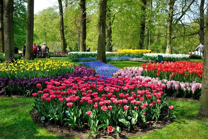 Keukenhof - spring garden from Rotterdam, Delf & The Hague - What to do when you need a break: cafés, seating, and planning for lunch