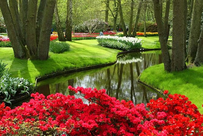 Keukenhof - spring garden from Rotterdam, Delf & The Hague - The guide touch: Alex, local stories, and bulb-fields side stops