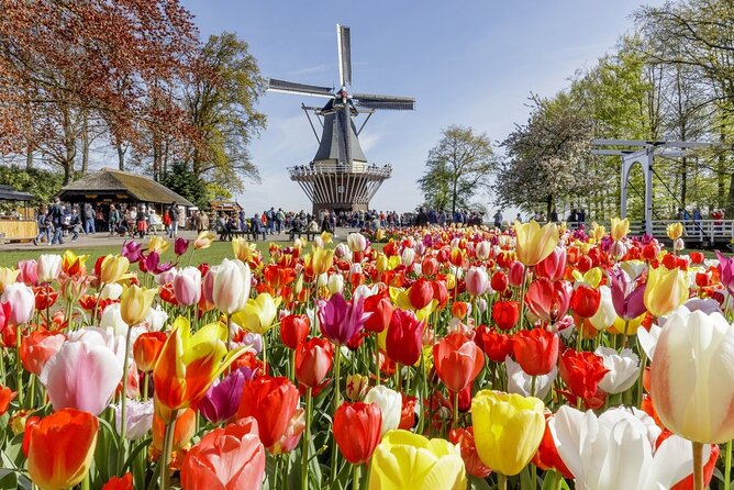 Keukenhof - spring garden from Rotterdam, Delf & The Hague - Who this Keukenhof trip suits best—and who should be cautious