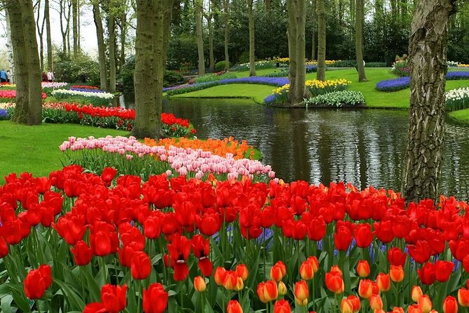 Keukenhof - spring garden from Rotterdam, Delf & The Hague - Should you book this Keukenhof day trip from Rotterdam?