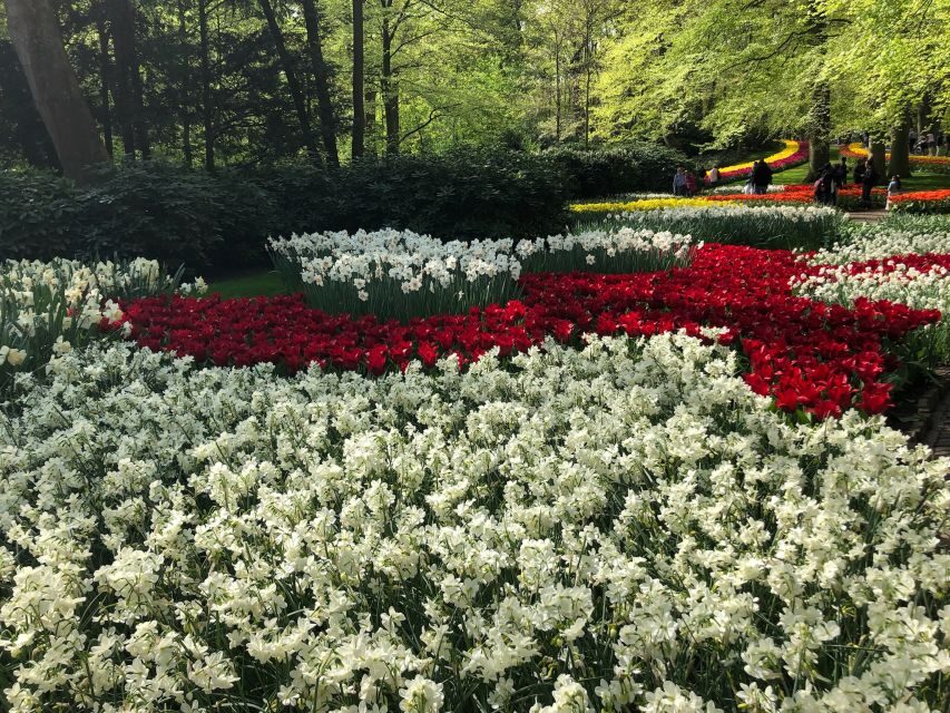 Keukenhof, Tulip Farm, Flower Fields & Windmills - Key Things I’d Remember Before You Go