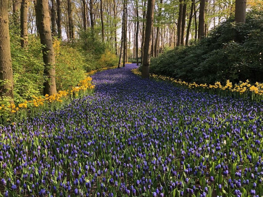 Keukenhof, Tulip Farm, Flower Fields & Windmills - Beemster UNESCO Drive: A Scenic Route with Meaning