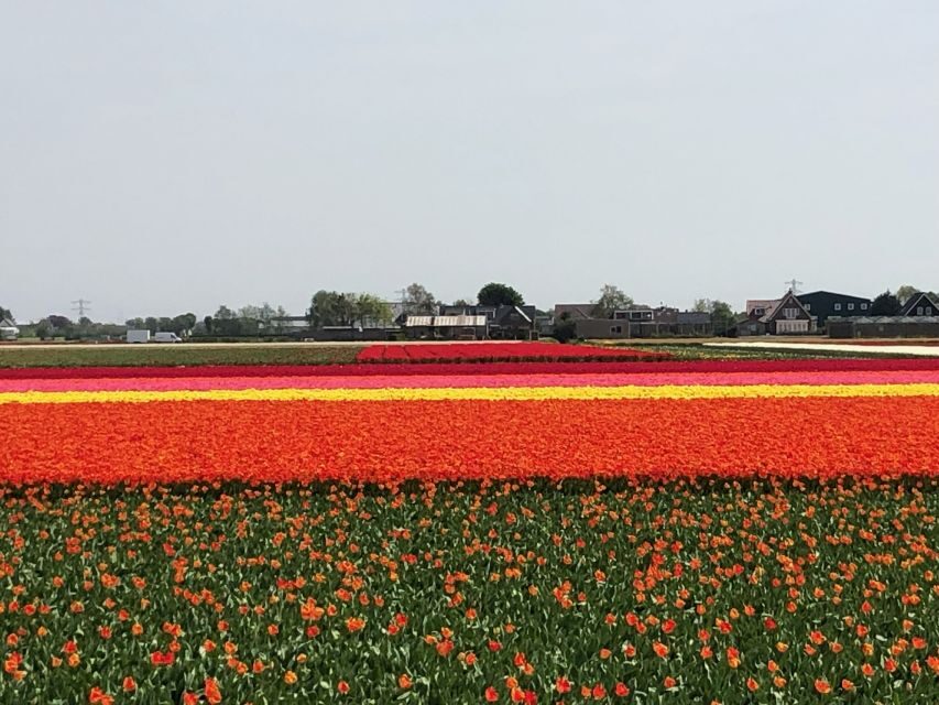 Keukenhof, Tulip Farm, Flower Fields & Windmills - Timing and Pace: The Flexible Schedule That Helps