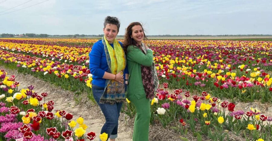 Keukenhof, Tulip Farm, Flower Fields & Windmills - Pickup From Amsterdam: The Quiet Win of a Private Day