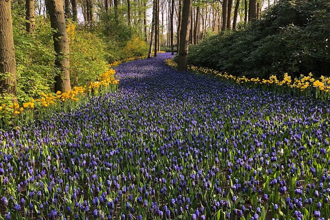 Keukenhof, Tulip Farm, Flower Fields & Zaanse Schans Windmills - Morning pickup at 10:00: comfort and a clean start