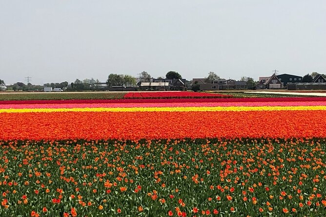 Keukenhof, Tulip Farm, Flower Fields & Zaanse Schans Windmills - Zaanse Schans windmills: a working heritage village feel