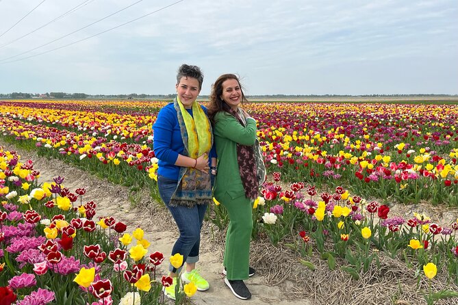 Keukenhof, Tulip Farm, Flower Fields & Zaanse Schans Windmills - Should you book this Keukenhof, flower fields, and Zaanse Schans tour?