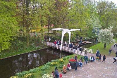 Keukenhof's Tulips and Windmills Small-Group Tour from Amsterdam - Zaanse Schans: windmill village and the guided stroll you actually need