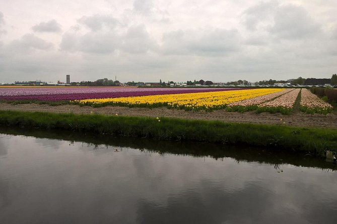 Keukenhof's Tulips and Windmills Small-Group Tour from Amsterdam - Molen De Kat: climb a working windmill for real views