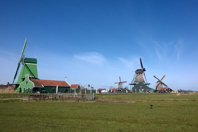 Keukenhof's Tulips and Windmills Small-Group Tour from Amsterdam - Skip-the-line, mobile ticket, and what “included” really means