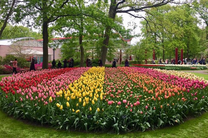 Keukenhof's Tulips and Windmills Small-Group Tour from Amsterdam - Transportation comfort: A/C helps, but van seating can feel tight