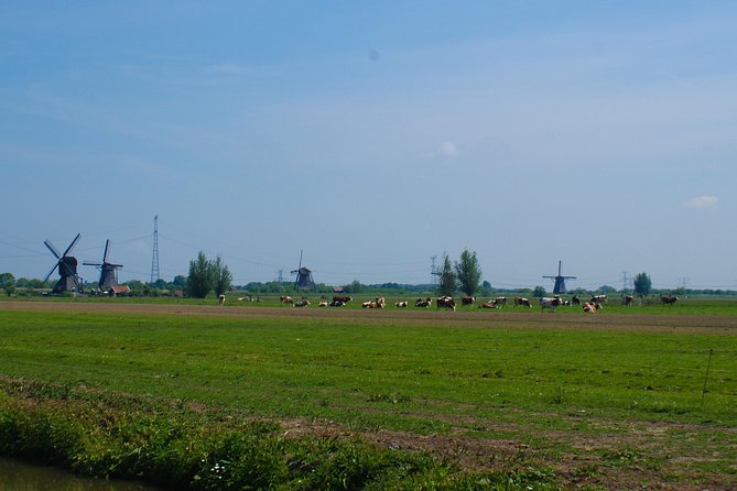 Kinderdijk Area Cycling Tour - Who this tour is best for (and who should think twice)