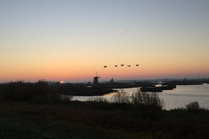 Kinderdijk Photography tour - The guide factor: why Marco-style photo help beats guesswork