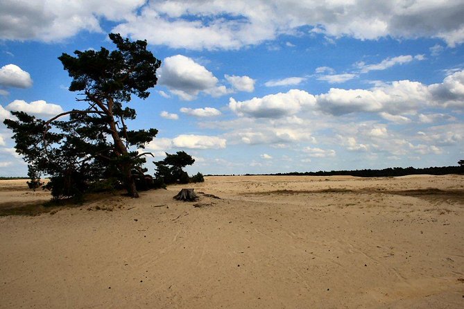Kröller-Müller Museum and National Park Private Day Tour from Amsterdam - Key things to know before you go