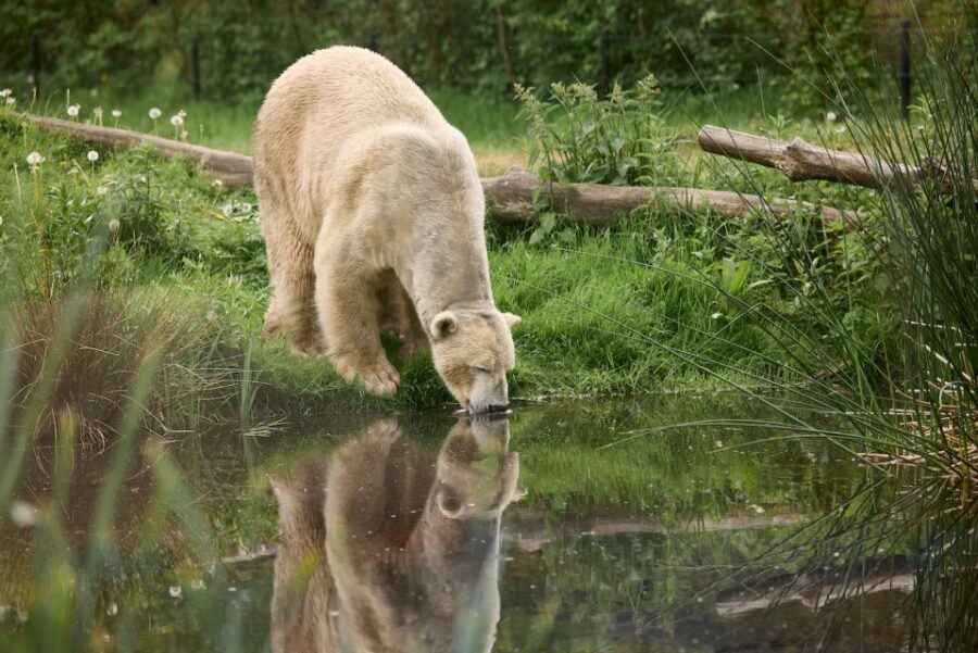 Leewarden: AquaZoo Entry Ticket - Quick Hits