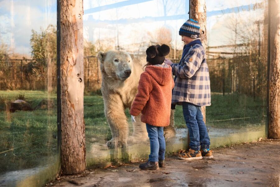 Leewarden: AquaZoo Entry Ticket - South America Corners: capybaras and nandus for a change of scenery