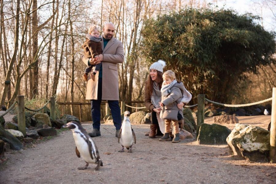 Leewarden: AquaZoo Entry Ticket - Food, parking, and timing: small choices that make the day easier