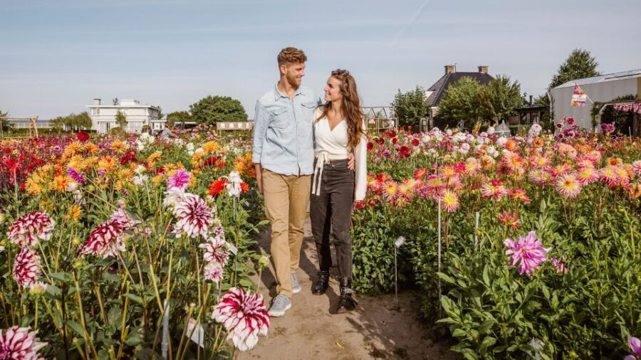 Lisse: Drive-it-Yourself Summer Flower GPS Audio Tour - Key points to know before you go