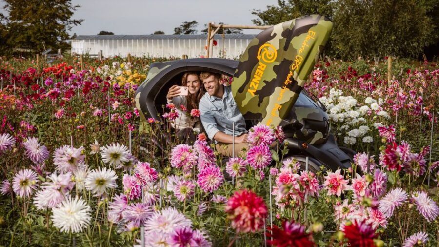 Lisse: Drive-it-Yourself Summer Flower GPS Audio Tour - A Renault Twizy turns flower touring into a real road trip