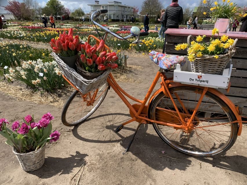 Lisse: Enjoy the Tulip Fields by Bike with a Local Guide! - The Tulip Farm Break: Views, Drink, and the Real-Time Bloom Check