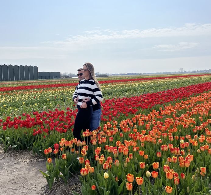 Lisse: Enjoy the Tulip Fields by Bike with a Local Guide! - Distance, Pace, and Bike Comfort: The Real Value Test