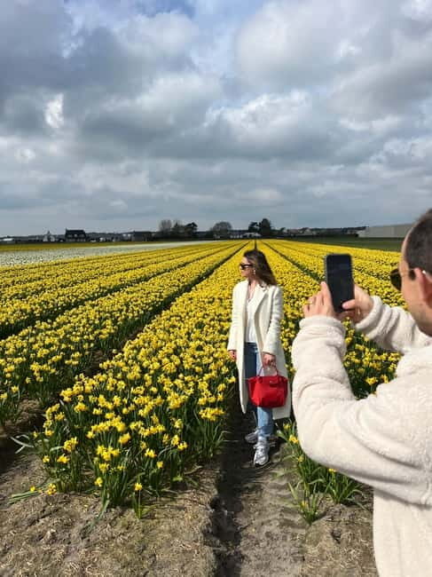 Lisse: Private Tulip Fields Tour with a Local Guide 1h Tour - Who this tour is best for