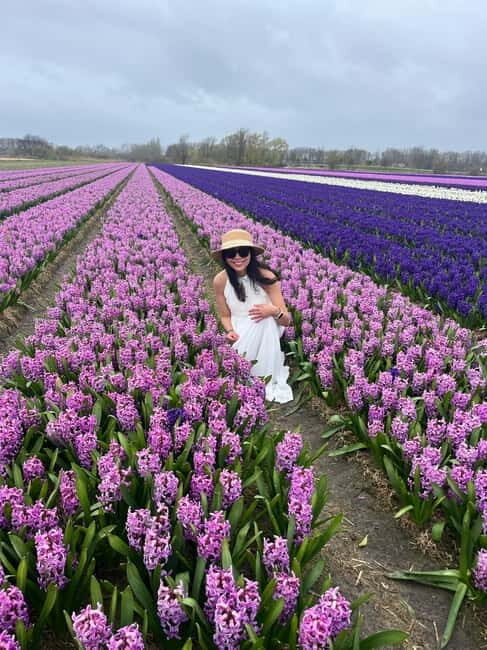 Lisse: Private Tulip Fields Tour with a Local Guide 1h Tour - What your local guide adds (beyond pretty flowers)